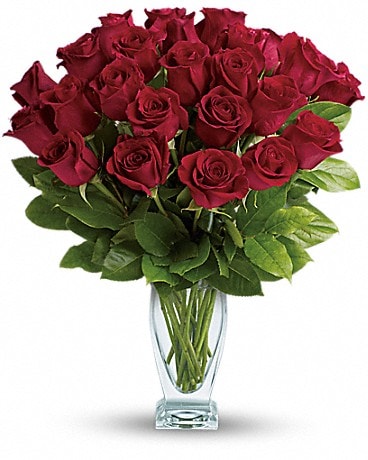 Teleflora's Rose Classique - Dozen Red Roses in Barrie ON