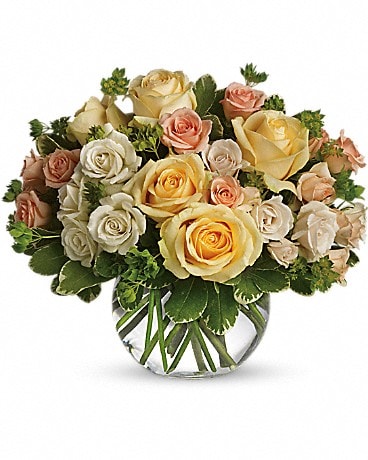 24 Stems Multicolor Staten Island Florist: Petals on Page Florist - Flower  Delivery in NY, 10307