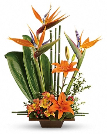 Teleflora's Exotic Grace Flower Arrangement