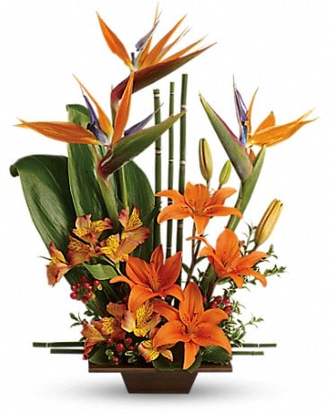 Teleflora's Exotic Grace Flower Arrangement
