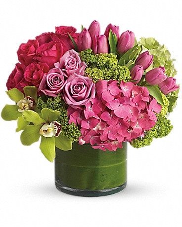 New Sensations in Orem UT - Orem Floral & Gift