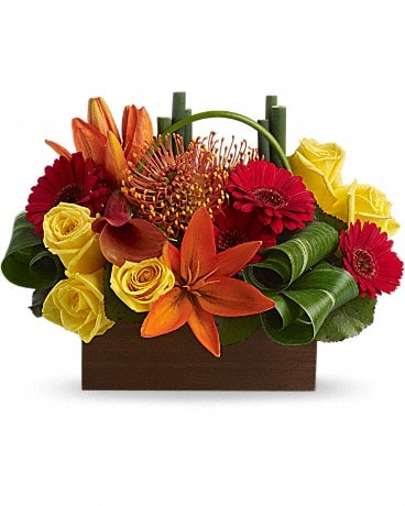 Teleflora's Bamboo Getaway Flower Arrangement