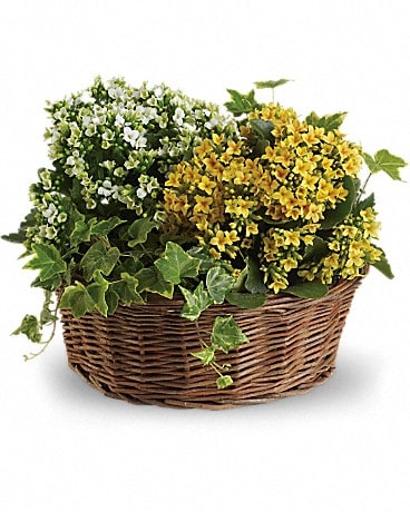 Basket of Joy (T95-2A) Basket Arrangement