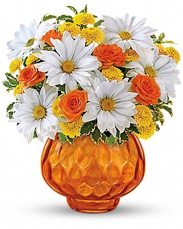 Teleflora's Sunny Day Pitcher of Daisies