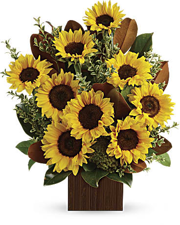 https://assets.eflorist.com/assets/products/PHR_/TEV32-1C.jpg