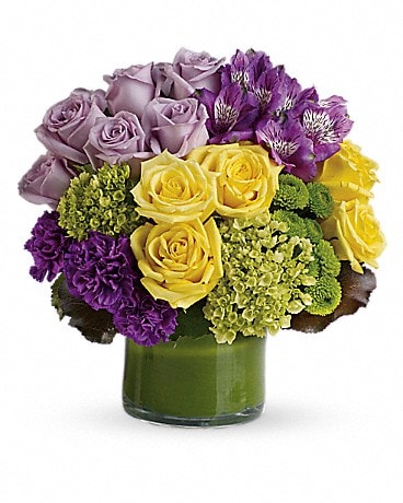 Modern Flowers Delivery Mechanicville NY - Matrazzo Florist