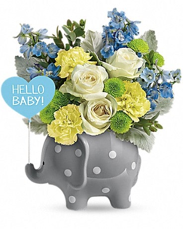 Teleflora's Hello Sweet Baby - Blue