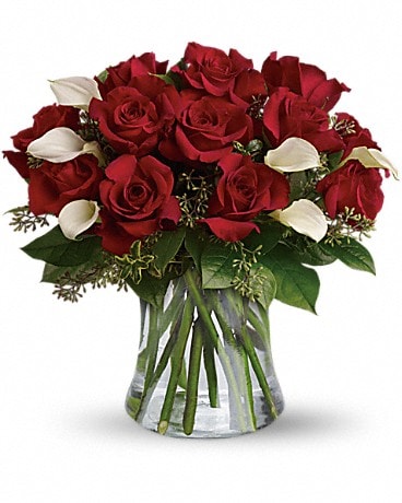 Red and white Roses Special Box in Tampa FL - Albelos Flowers