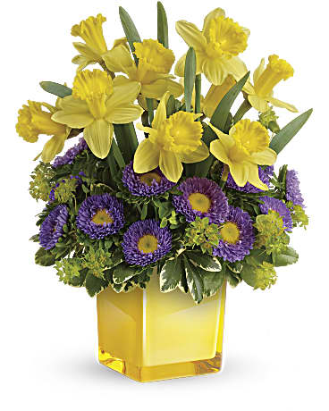 Teleflora's Playful Springtime Daffodil Bouquet