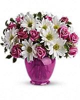 Teleflora's Pink Daisy Delight - by Cooksey's Flower Shop