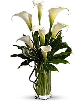 My Fair Lady - Bouquet