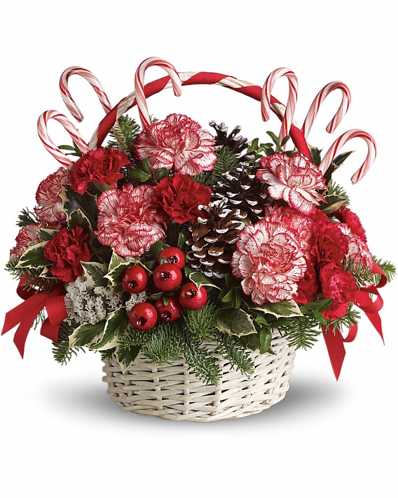 Candy Cane Christmas in Parksley VA - Floral Express & Gifts