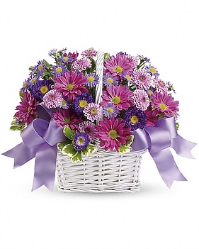 Daisy Daydreams Basket Arrangement