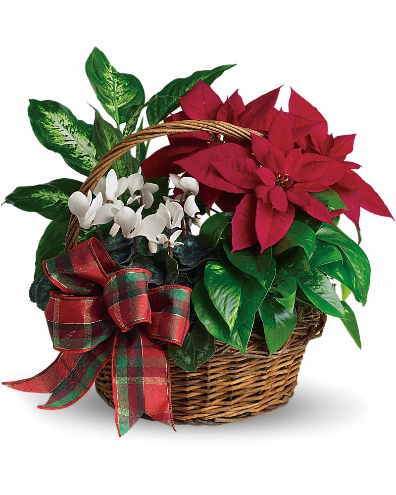 Holiday Homecoming Basket in Parksley VA - Floral Express & Gifts