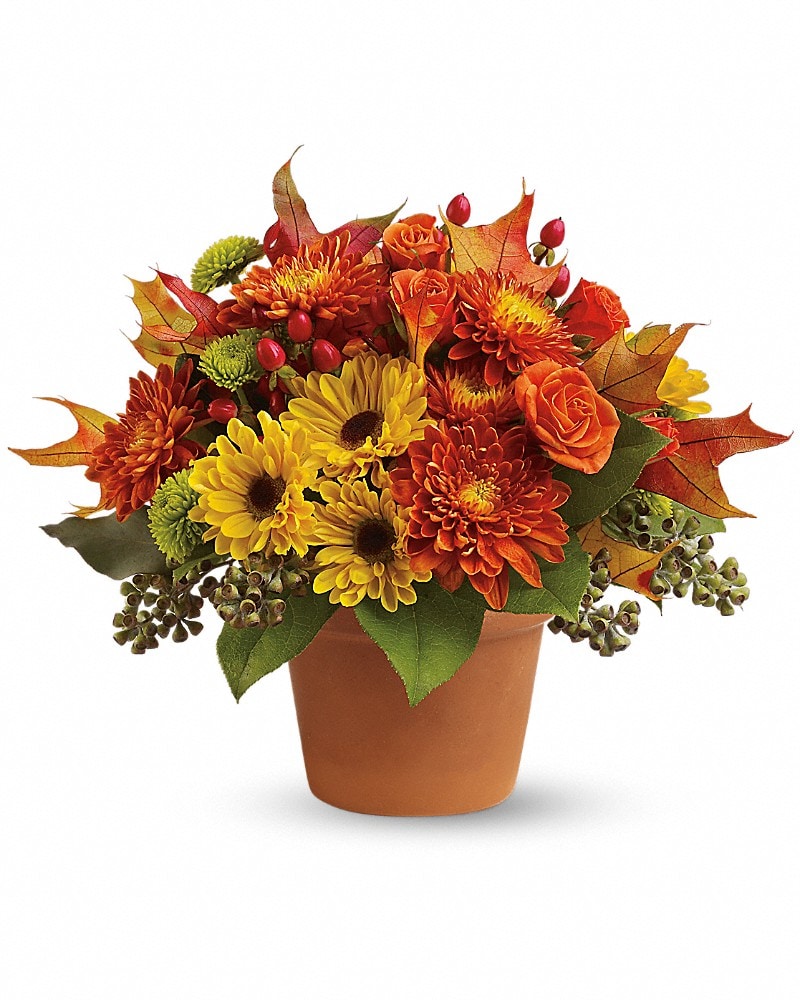Sugar Maples T12Z100 in Garden Grove CA - Garden Grove Florist