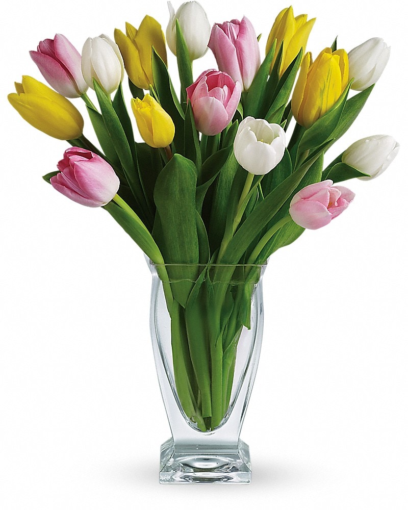 TULIPページ Tulips Delivery Spokane WA - Lilac City Blooms