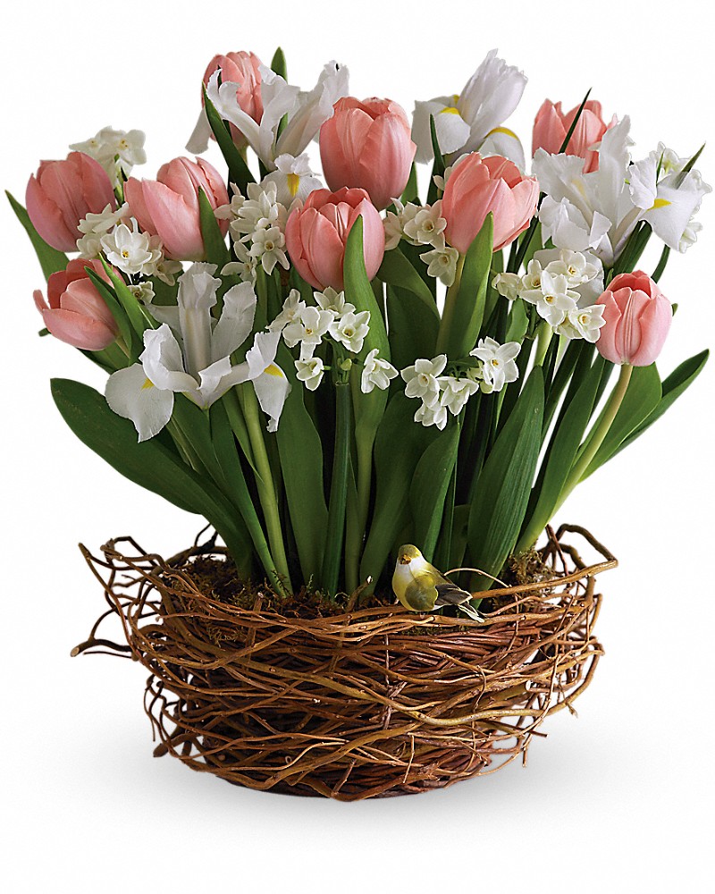 Amazon.com: MJDDJA Mini Flower Bouquets Building Blocks