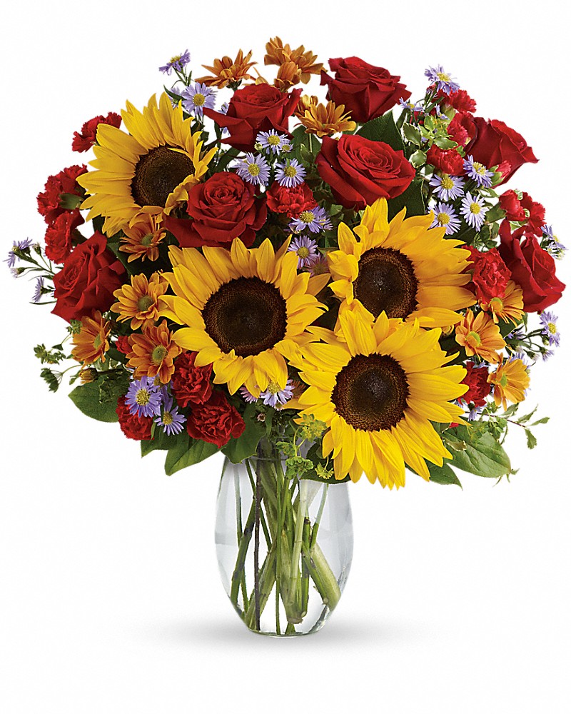 【happiest 】2A261 Pure Happiness in Lewisville TX - Mickey's Florist
