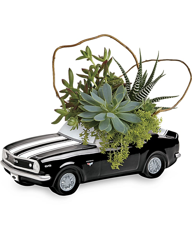 Plants Delivery Kingstree SC - Final Touch