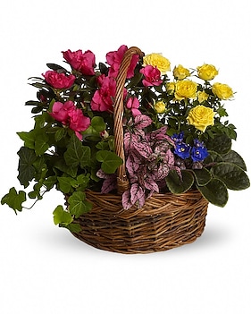 Blooming Garden Basket Basket Arrangement