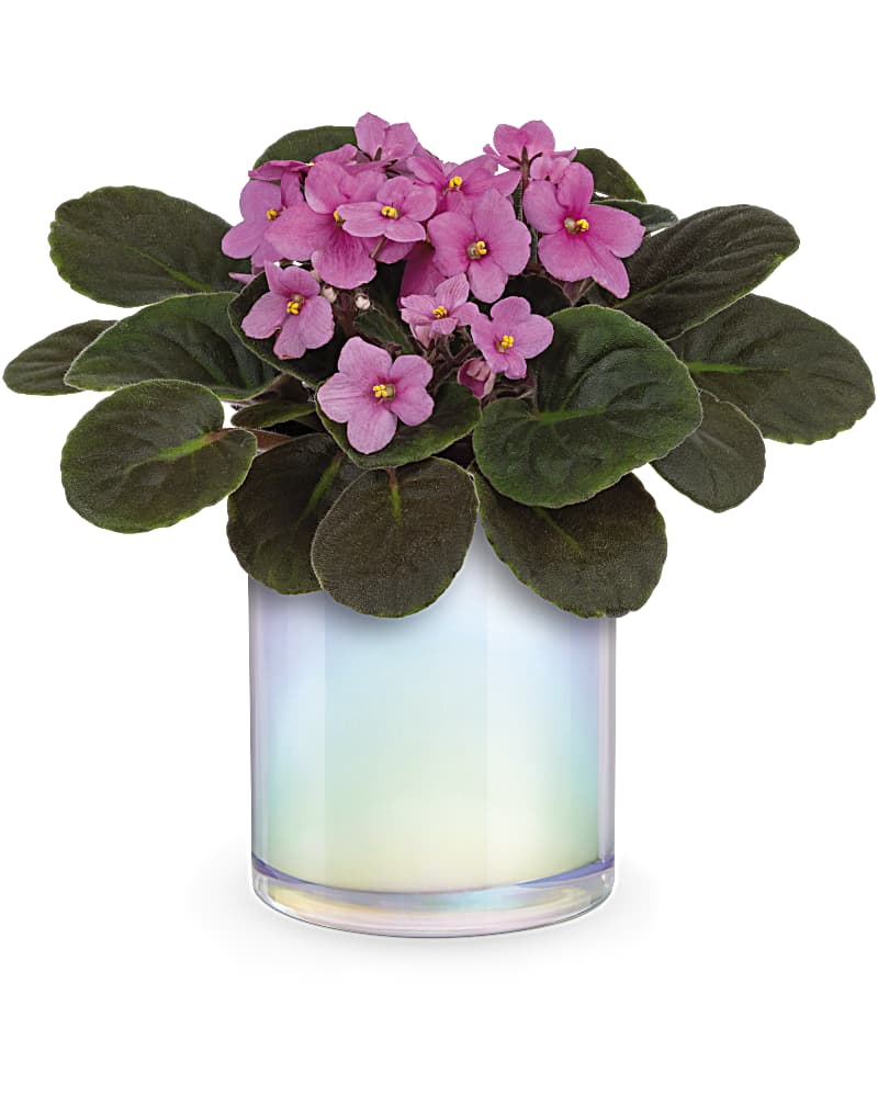 flower botanical ヴィンテージトルコラグ　ボタニカル88×210 flower botanical ヴィンテージトルコラグ ボタニカル88×210