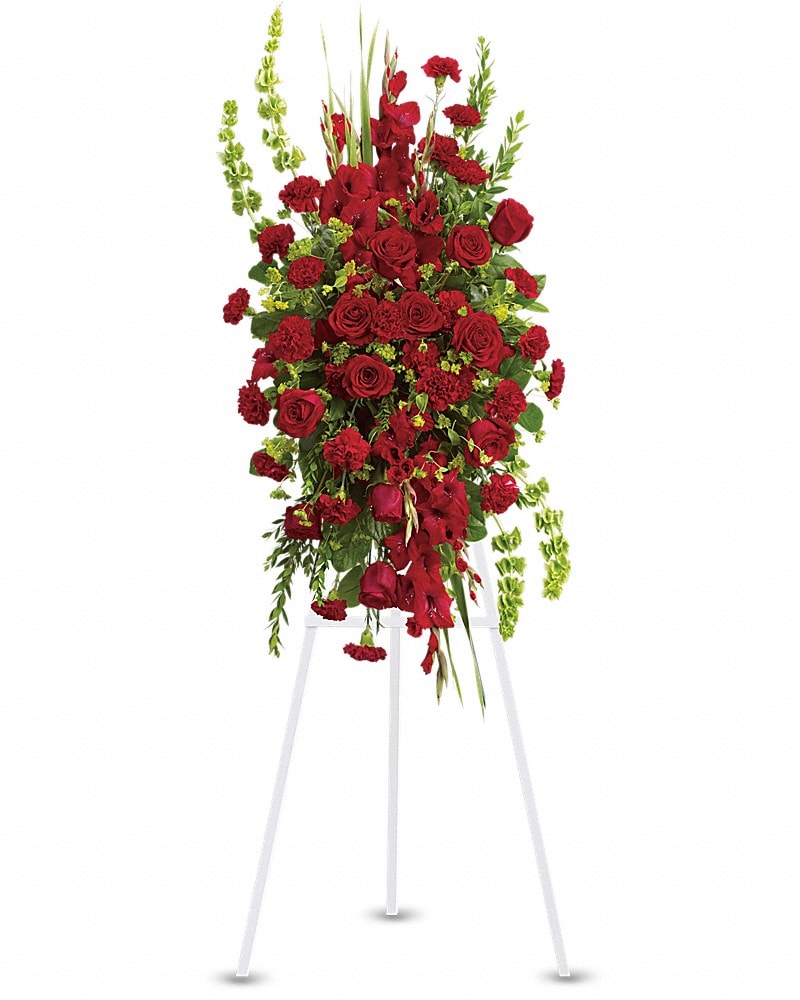 Care and Compassion Spray (T230-1A) in Chicago IL - Soukal Floral
