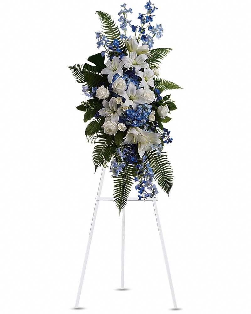Ocean Breeze Spray (T246-2A) in Chicago IL - Soukal Floral