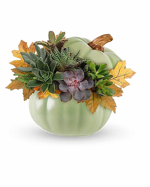 Pumpkin Garden Arrangement