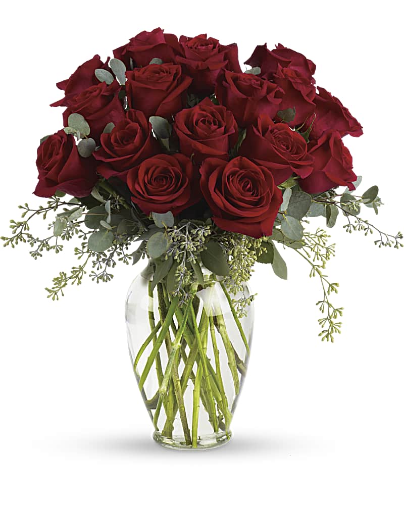 Forever Beloved- Long Stem Red Roses (T255-4A) in Chicago IL
