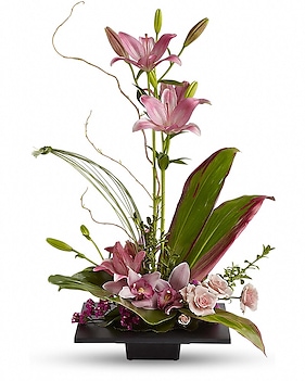 Imagination Blooms with Cymbidium Orchids Flower Arrangement