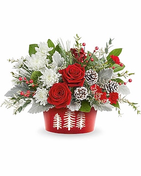 Teleflora's Snowy Pines Centerpiece Bouquet