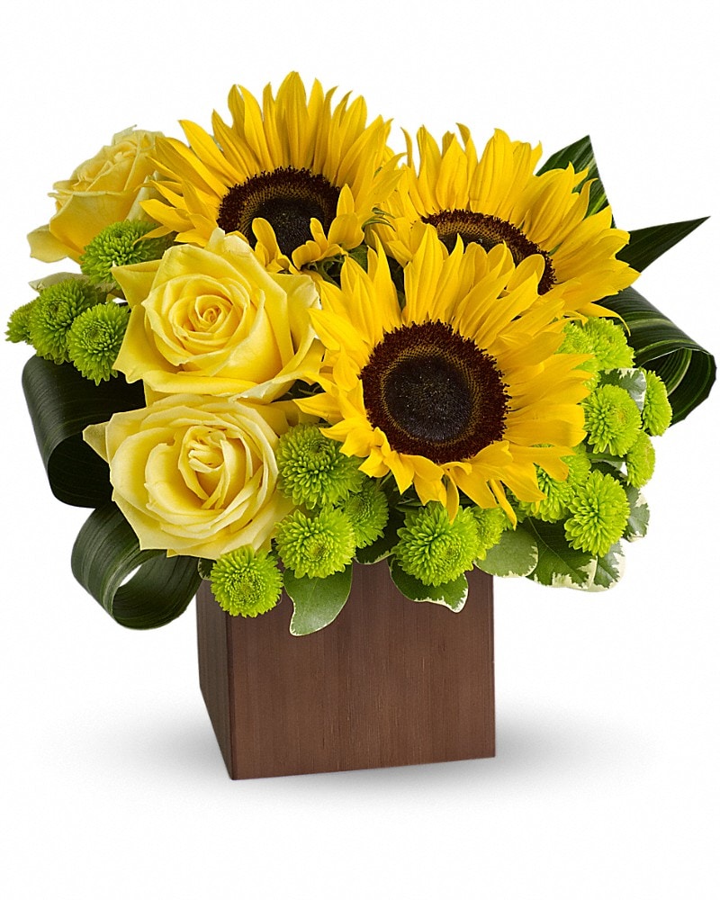 Teleflora's Sunflower Fantasy in Bradenton FL - Josey's Poseys Florist