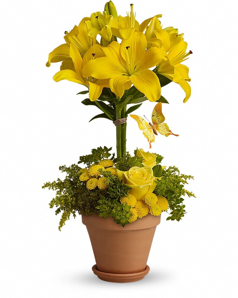 Yellow Fellow in Torrance CA - Torrance Flower Shop