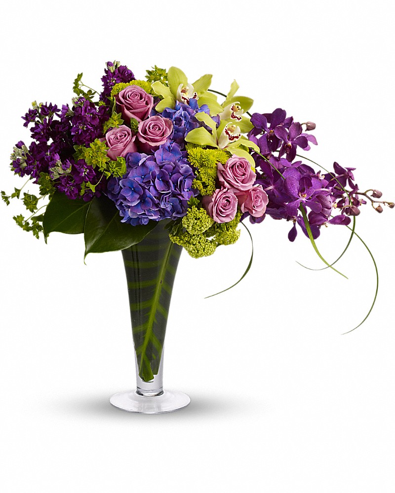 Flower Fun House Star Burgundy | Syngenta Flowers