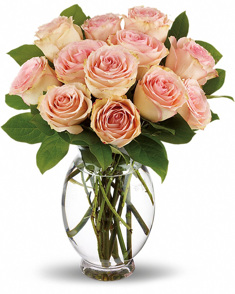 Teleflora's Delicate Dozen T9-2 - by Soukal Floral Co. & Greenhouses
