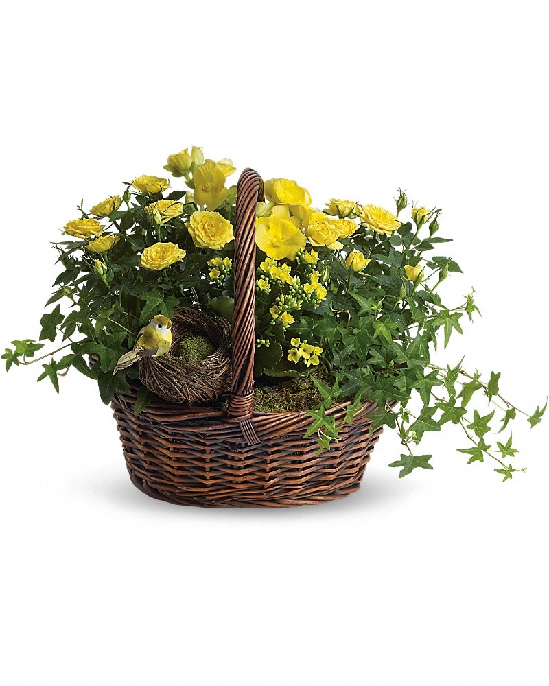 Yellow Trio Basket in Chicago IL - Secret Garden Flower Shop