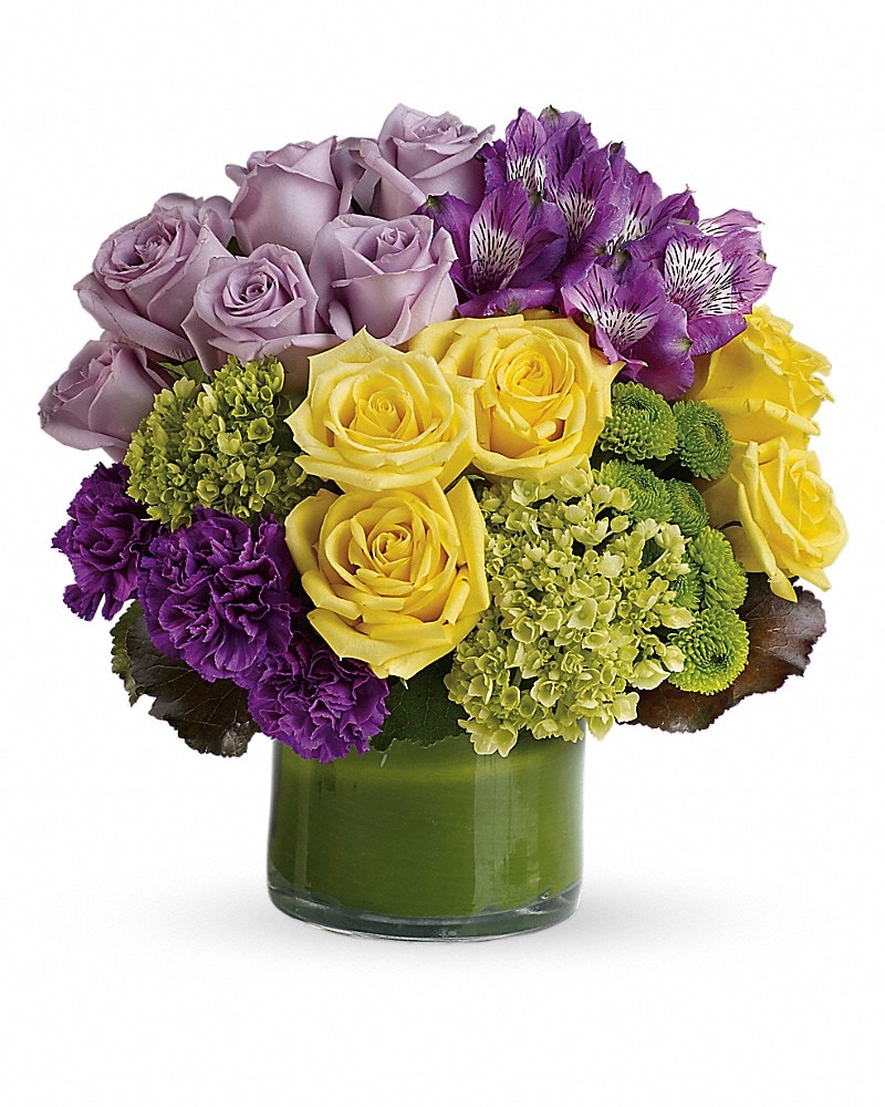 Jane Marple Beautiful Bouquet 2点セット Teleflora's Pretty Pop Bouquet in Saraland AL - Belle