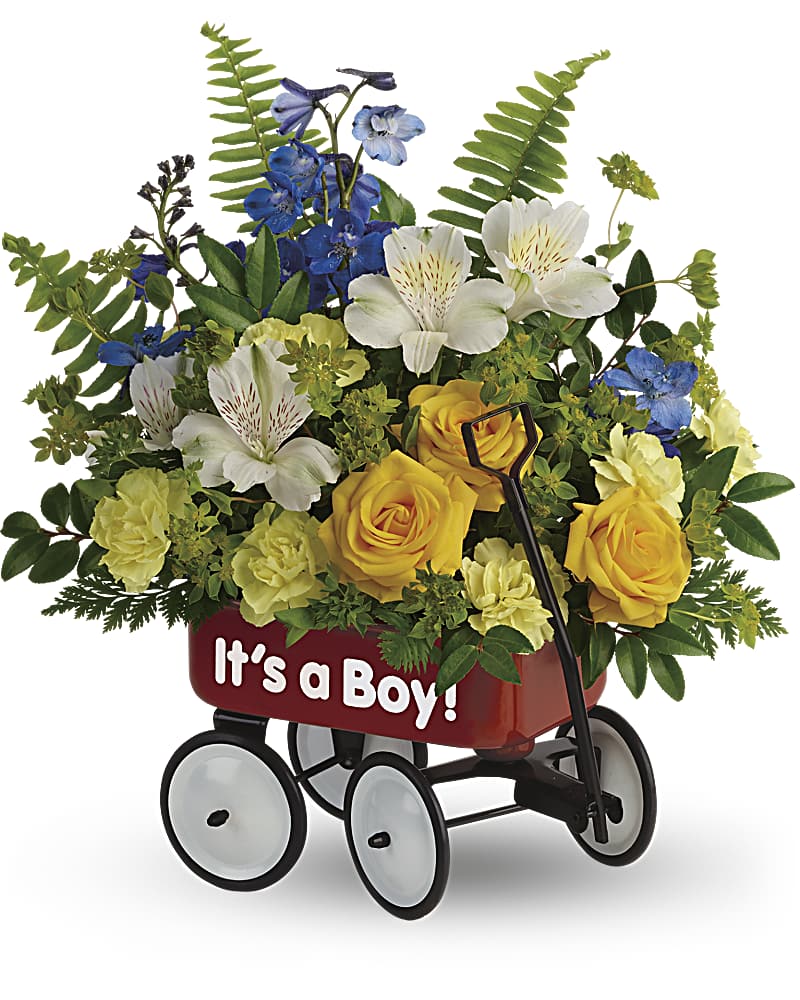New Baby Flowers Delivery Worcester MA - Herbert Berg Florist, Inc.