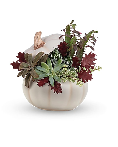 Teleflora's Spooky Succulent Garden in San Marcos TX - The Wild Flower  Designs & Events