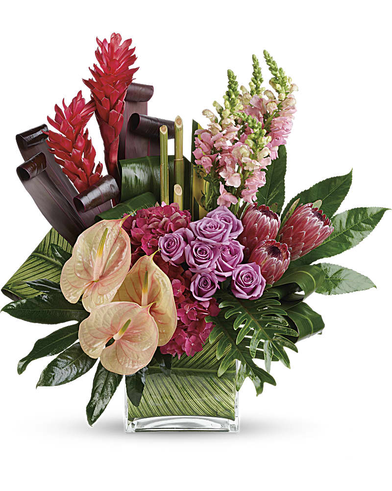 茶 aiba Tahitian Tropics Bouquet in Seattle WA - Fran's Flowers