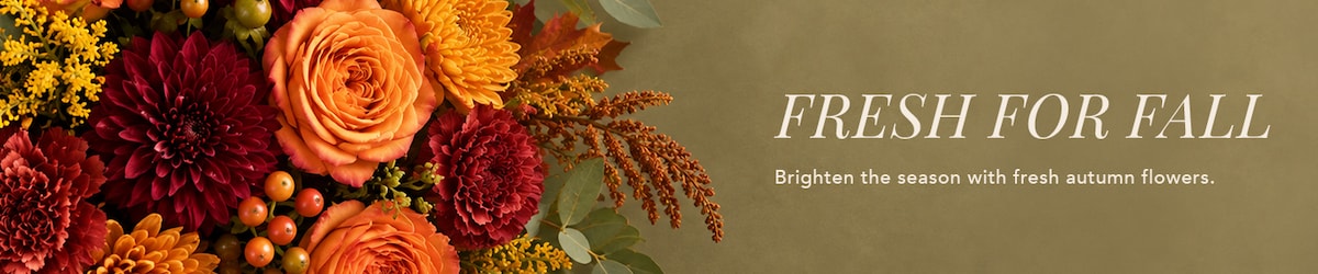 Fall Flowers in Everett, WA | Amora Flowers