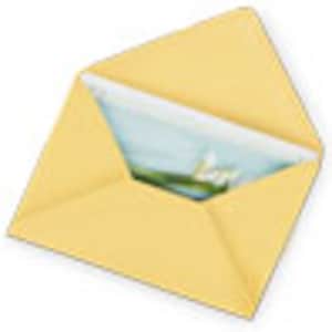 Full Size Greeting Card