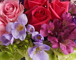 Edmonton Florist - Flower Delivery by Petals For Less Ltd.