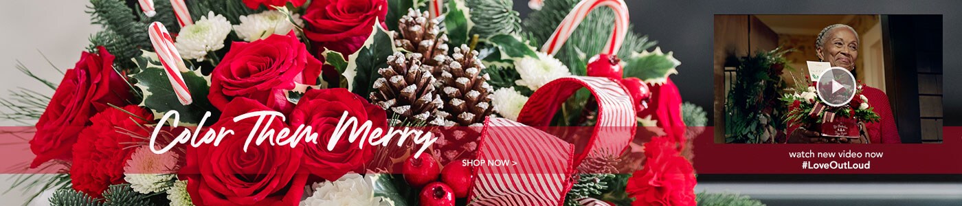 Beautiful Seasonal Flowers Banner