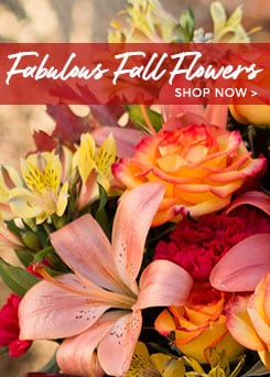 Delivery Fall Flowers - Send Fall Flowers