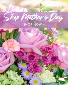 Mother's Day Flowers Delivery - Send Mother's Day Flowers 