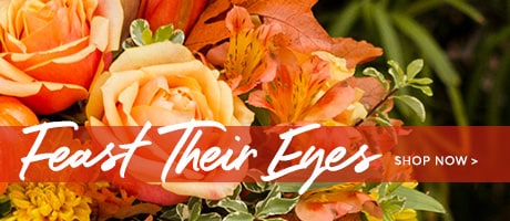 Thanksgiving Flowers Delivery - Send Thanksgiving Flowers
