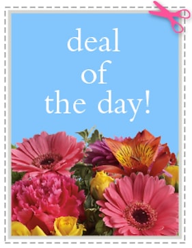 Send The Best Deal of the Day - Biggest Freshest Arrangement