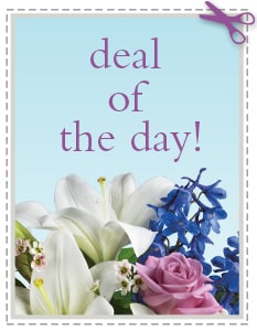 Send The Best Deal of the Day - Biggest Freshest Arrangement
