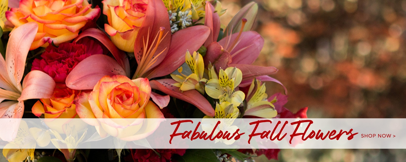 Newhall Florist Flower Delivery By Bloomies Florist